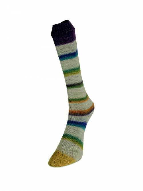 Art Sock Yarn by Laines du Nord