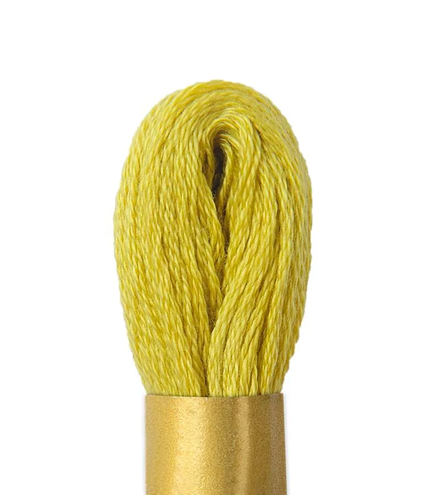 Maxi Mouline Embroidery Floss Color 829 by Circulo